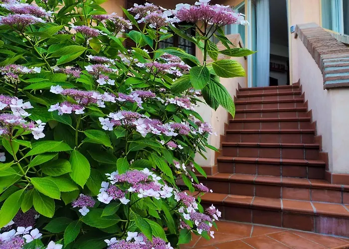 아파트 Isella 마라넬로