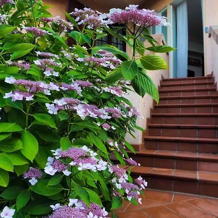 公寓 Isella 马拉内罗