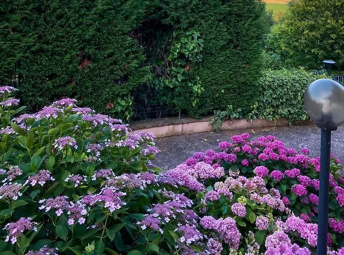 Isella * مارانيلّو